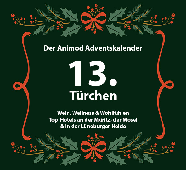 13. Türchen